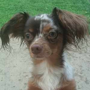 Meet your Posher, Shana